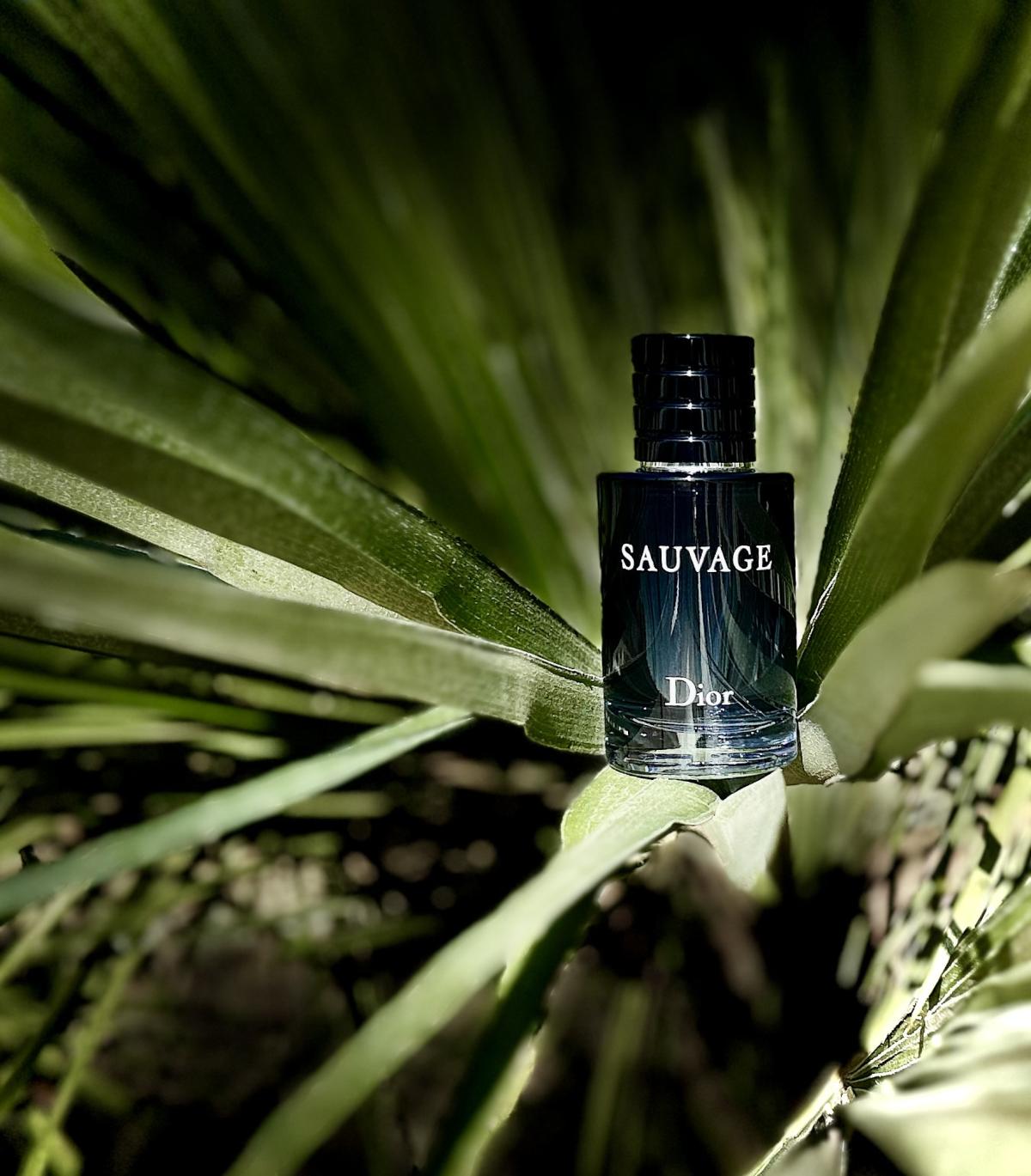 Sauvage Dior EDP 100ml