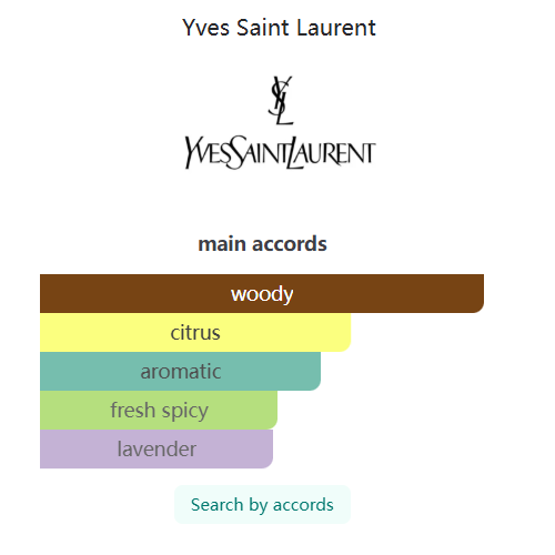 L'Homme Eau de Parfum Yves Saint Laurent 100ml