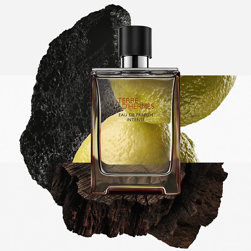 Terre d’Hermès Intense Hermès 100ml