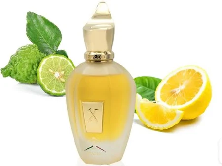 Naxos Xerjoff Eau de Parfum 100ml