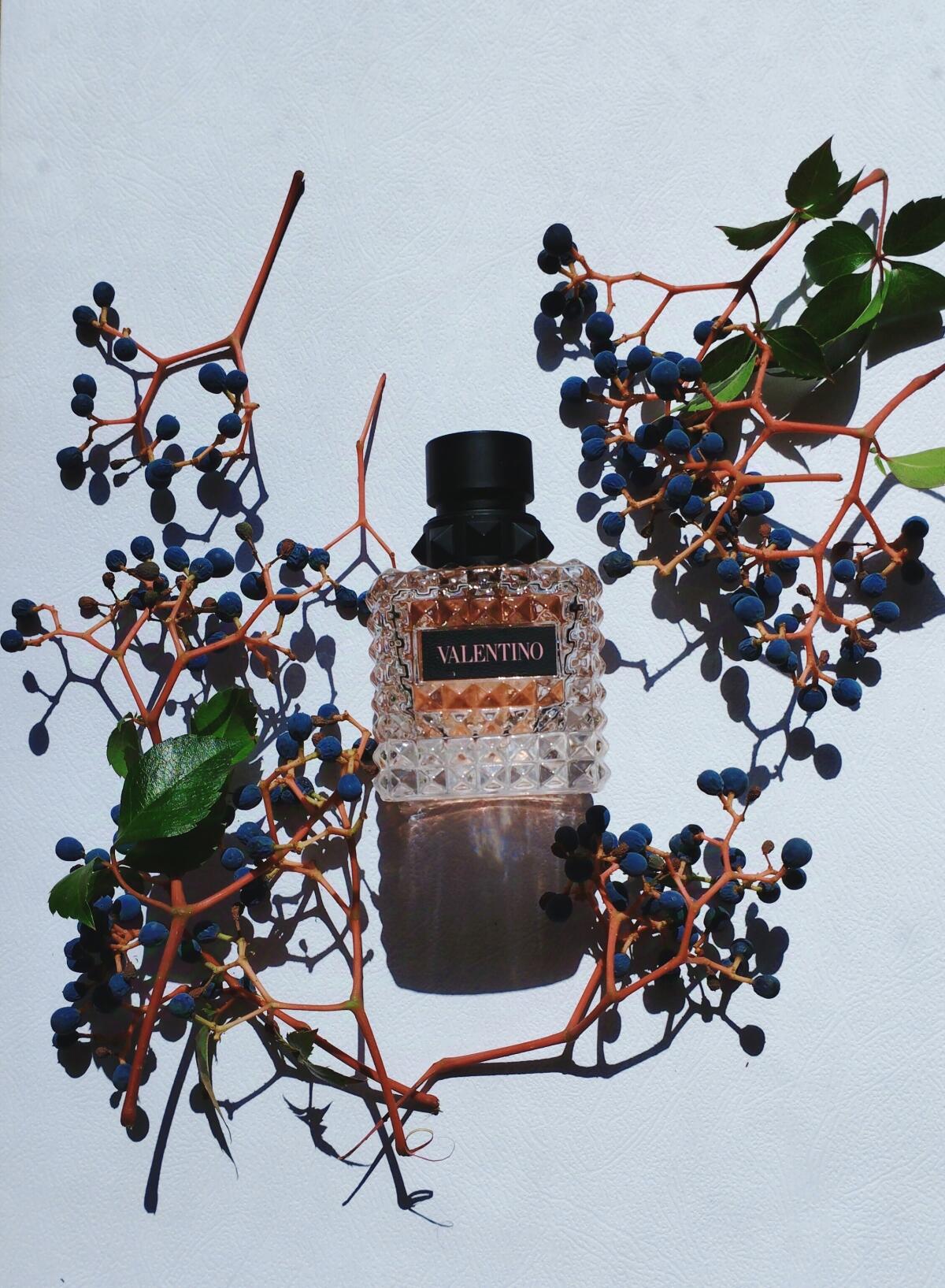 Valentino Donna Born In Roma Valentino 100ml