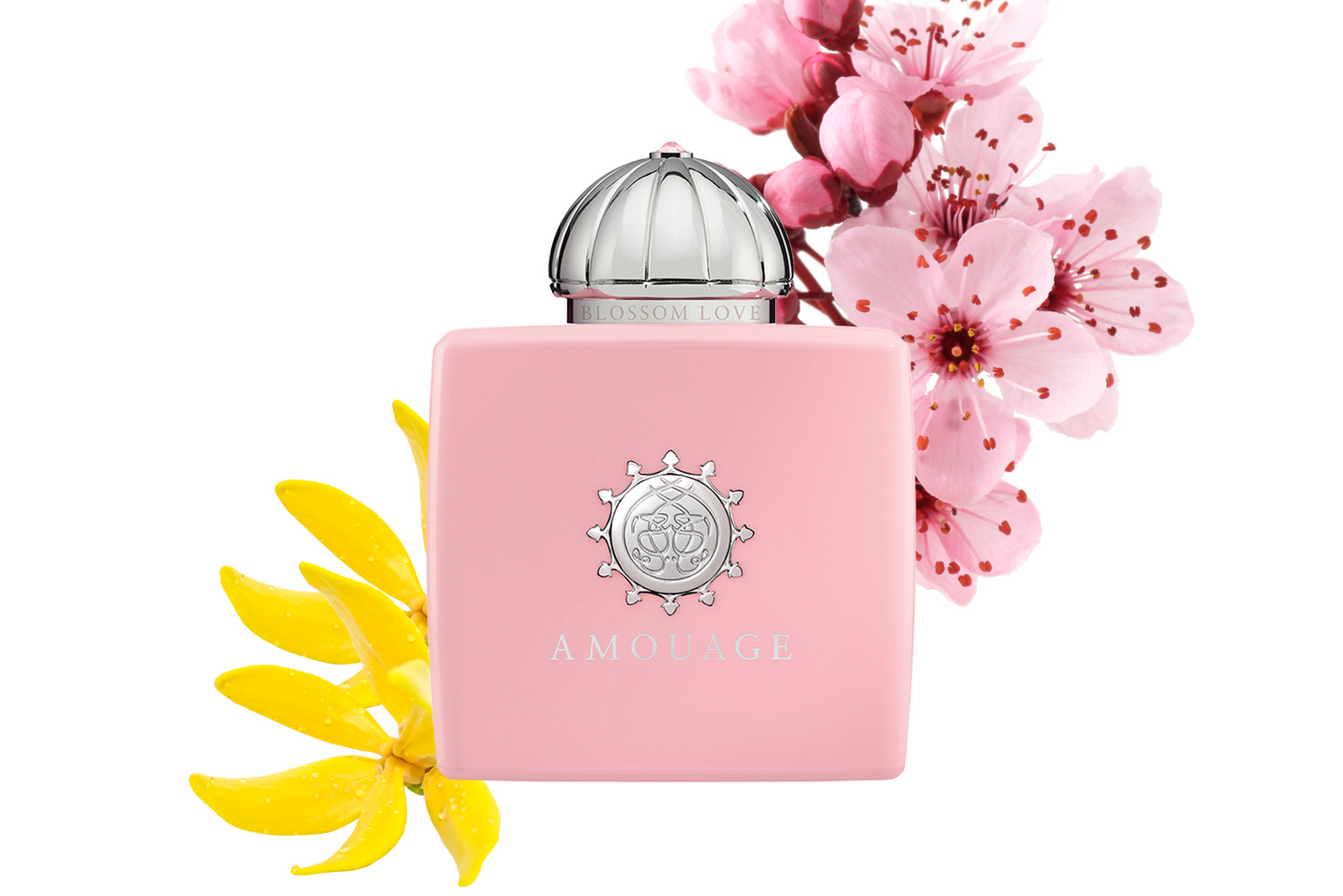 AMOUAGE BLOSSOM LOVE WOMEN's Eau de Parfum 100ml