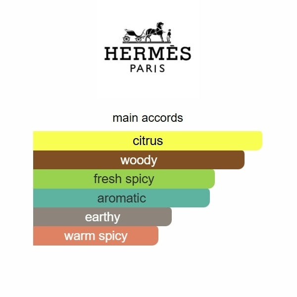 Terre d'Hermès Hermès 100ML