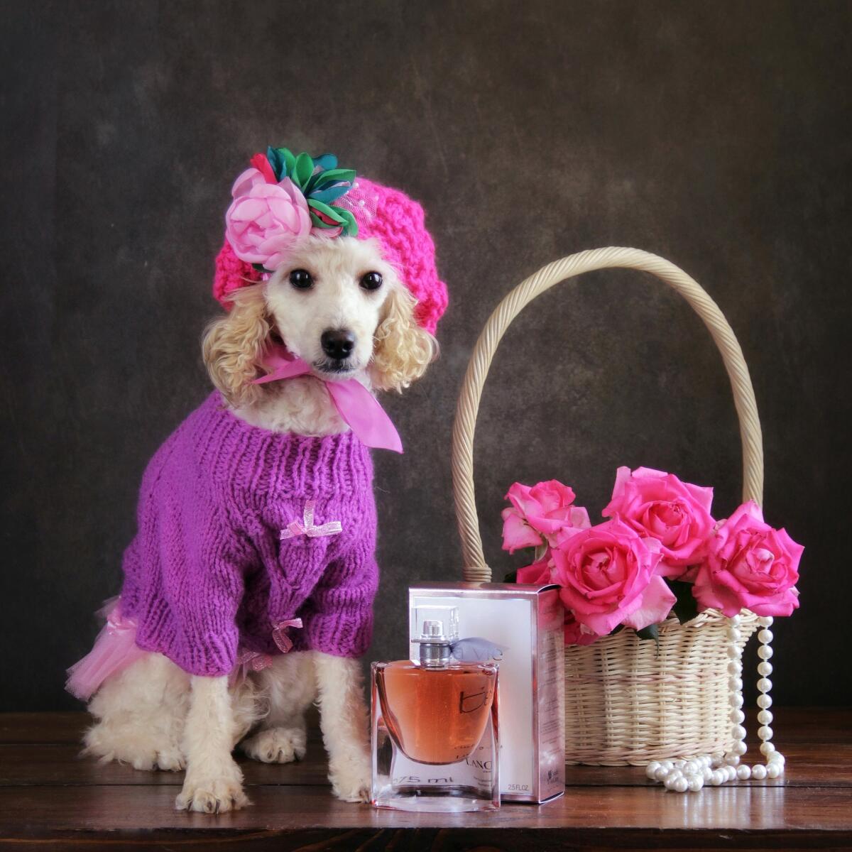La Vie Est Belle Lancôme 100ml